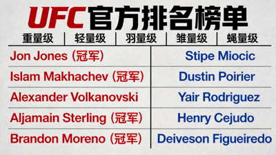 UFC官方排名榜单可视化图表，展示各量级冠军及挑战者